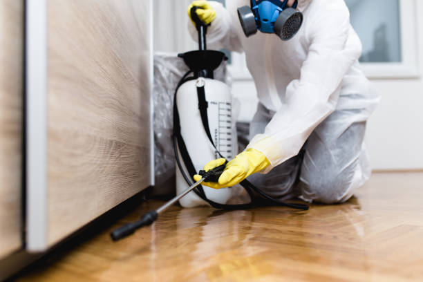 Best Insect Control  in Gladeville, TN