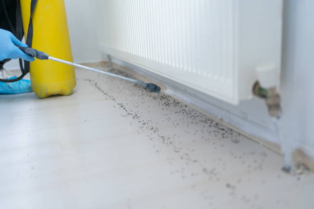 Best Pest Removal Services  in Gladeville, TN