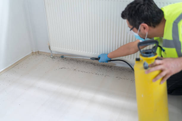Best Flea Control Services  in Gladeville, TN